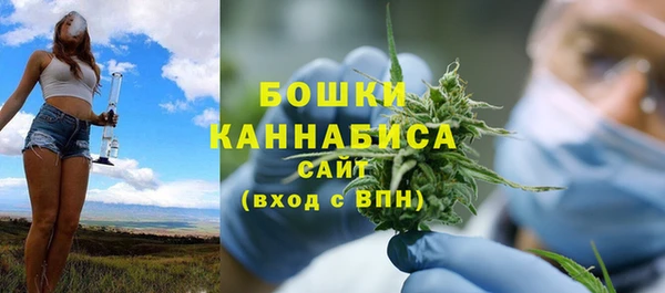 винт Новозыбков