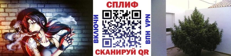 Купить закладки Карачев Бошки Шишки марихуана